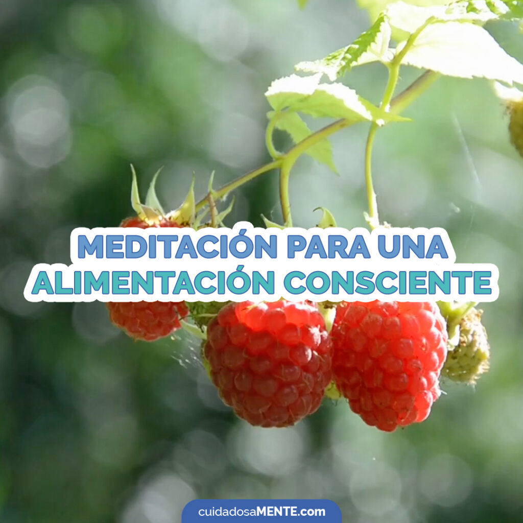 Meditación para una alimentación consciente