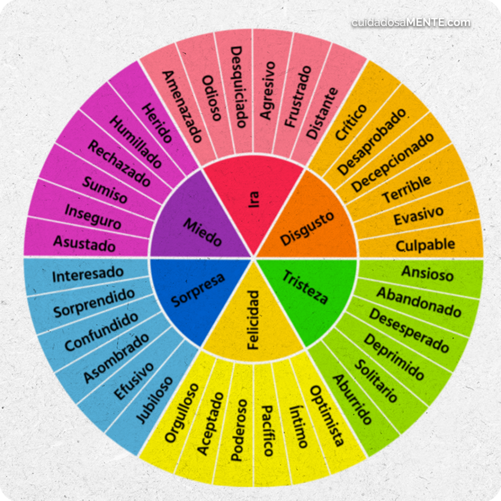 ¿Cuáles son las emociones básicas?