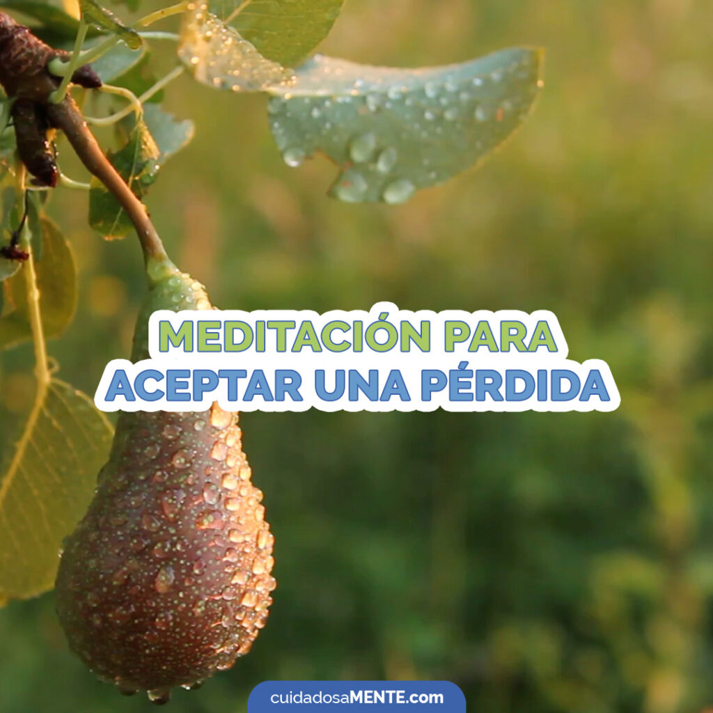 Meditación para aceptar una pérdida