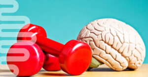 Imagen de un cerebro a lado de unas pesas de ejercicio